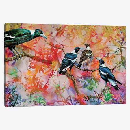 We Are Family - Australian Magpies Canvas Print #SKE25} by Susan Skuse Canvas Artwork