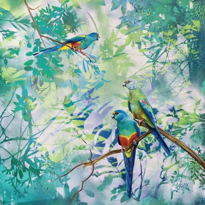Whispers - Mulga Parrots by Susan Skuse art print