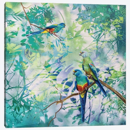 Whispers - Mulga Parrots Canvas Print #SKE26} by Susan Skuse Canvas Artwork