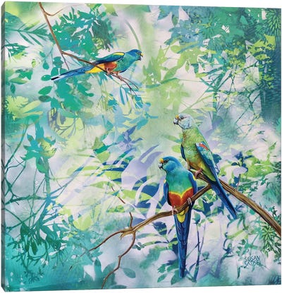 Whispers - Mulga Parrots Canvas Art Print - Susan Skuse
