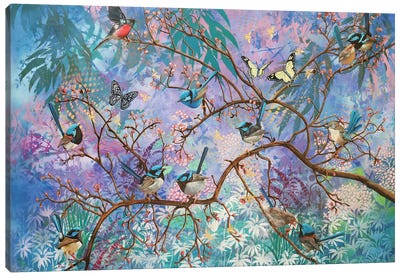 Australian Wrens Canvas Art Print - Susan Skuse