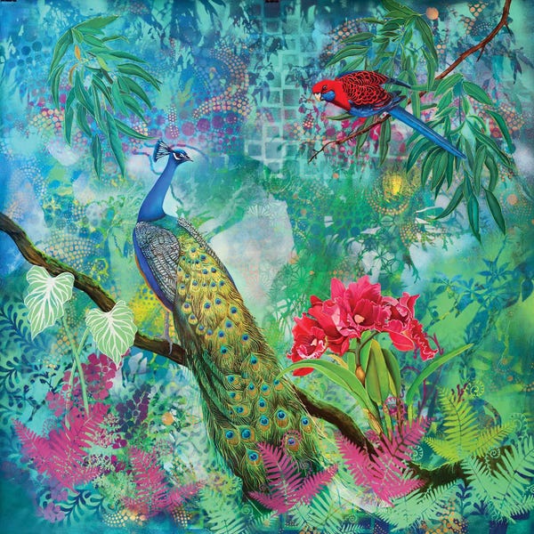 Peacocks: Beauty Too Rich For Wear by Susan Skuse