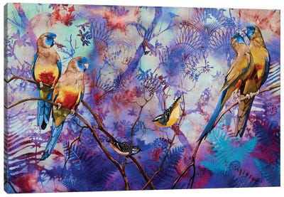 Blue Bonnet Parrots Canvas Art Print - Susan Skuse