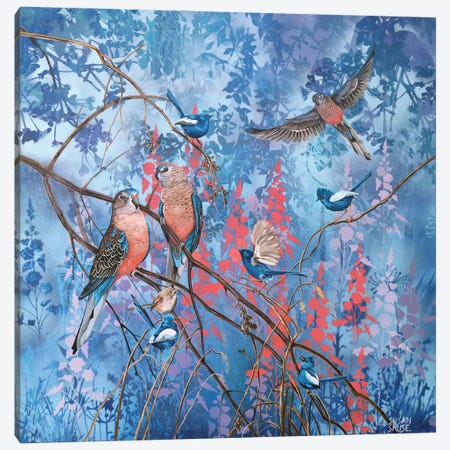 Burke's Parrots And White-Winged Wrens Canvas Print #SKE8} by Susan Skuse Canvas Artwork