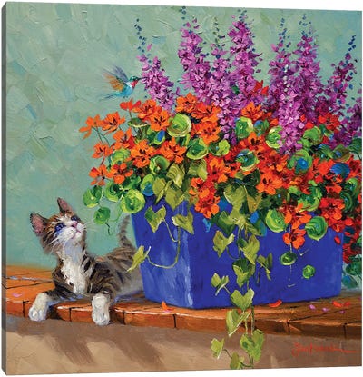 Captivated Canvas Art Print - Kitten Art