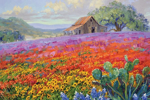 Fine Art Print: Cornucopia Of Color by Mikki Senkarik