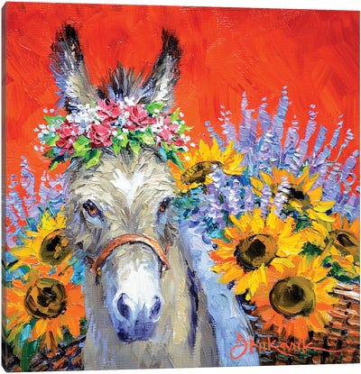 Fresh From Provence Canvas Art Print - Donkey Art