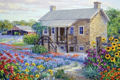 Rock House Homestead by Mikki Senkarik framed canvas print