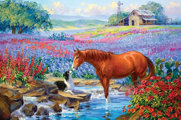 Horses: The Touch Of Friendship by Mikki Senkarik