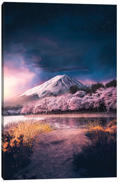 A Beauty In Pink Canvas Art Print