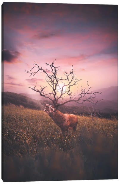 Deer Has Horn Canvas Art Print - Virtual Escapism