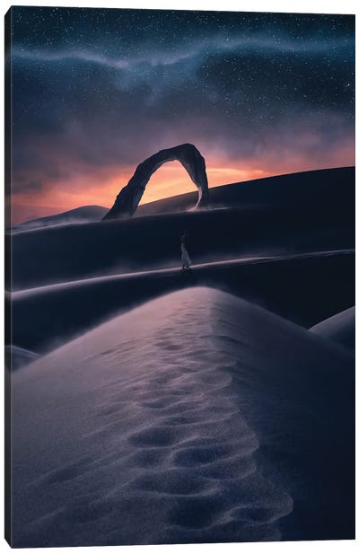 Feeling Of Desert Canvas Art Print - Virtual Escapism