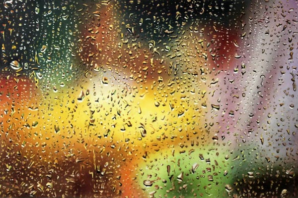 Shay Kun: Jungle Impulse by Shay Kun