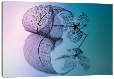 Story Of Leaf And Flower Canvas Art Print - Macro Photography