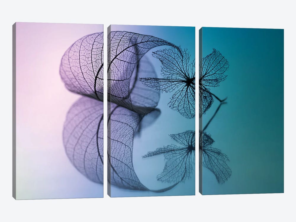 Story Of Leaf And Flower by Shihya Kowatari 3-piece Canvas Artwork