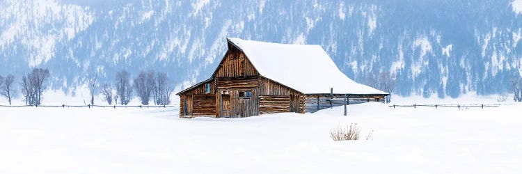 Snowed In Wyoming