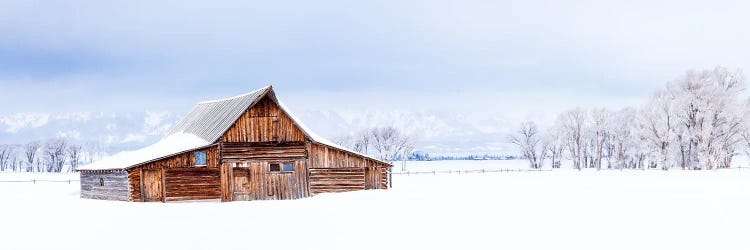 Winter Dream Wyoming