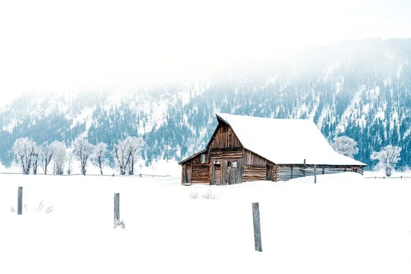 Rocky Mountains: Snow Storm by Susanne Kremer