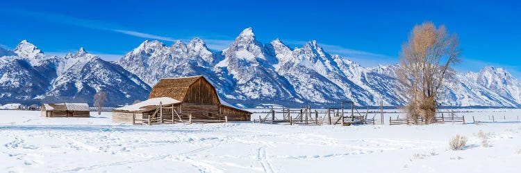 Panoramic Winter View Grand Teton