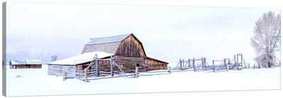 After The Snow Storm White Out Canvas Art Print - Grand Teton Art