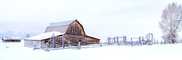 Teton Range: After The Snow Storm White Out by Susanne Kremer