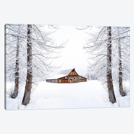 Frozen Winter Dream Wyoming Canvas Print #SKR1046} by Susanne Kremer Art Print