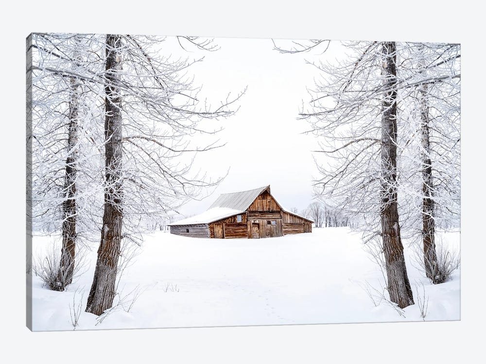 Frozen Winter Dream Wyoming by Susanne Kremer 1-piece Canvas Wall Art