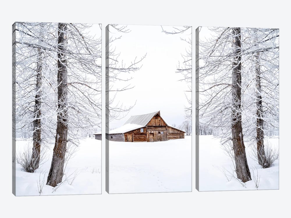Frozen Winter Dream Wyoming by Susanne Kremer 3-piece Canvas Art