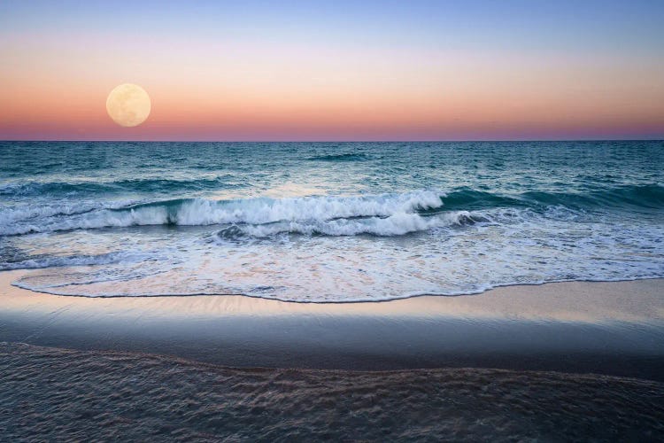 Moonrise At The Beach