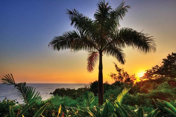 Beach Sunrises & Sunsets: Jamaica West Indies Caribbean Port  by Susanne Kremer