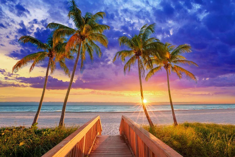 Path To Beach Dreams