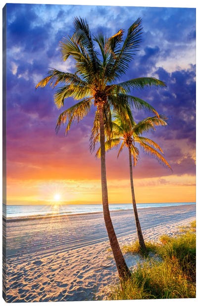 Tropical Palm Trees Canvas Art Print - Tropical Beach Art