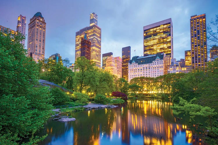Central Park Spring Nights
