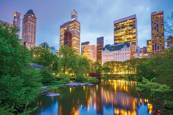 Canvas Print: Central Park Spring Nights by Susanne Kremer