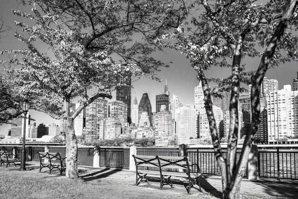 Fine Art Print: Poetry In Monochrome by Susanne Kremer