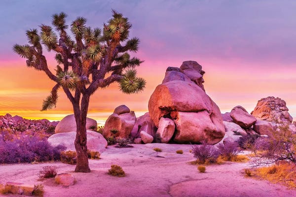 Hyperreal Landscape Photography: Joshua Tree National Park X by Susanne Kremer