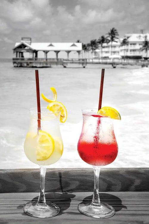 Tropical Cheers by Susanne Kremer wall art