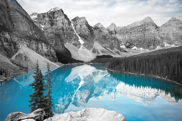 Alberta: Reflecting Noire by Susanne Kremer