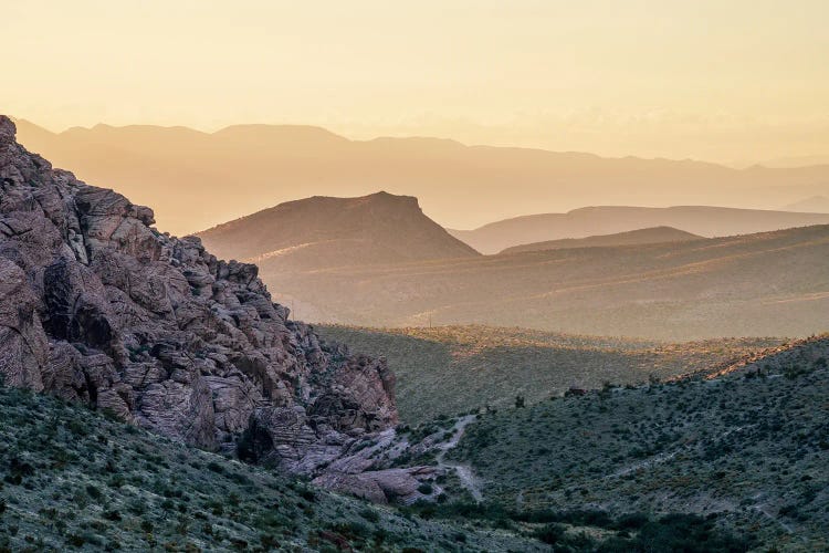 Desert Morning Awakening