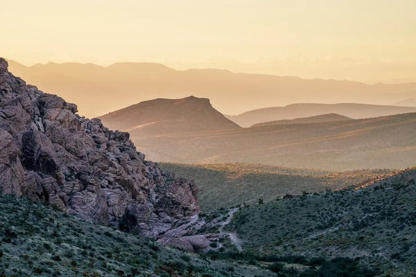 Desert Morning Awakening