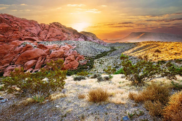 Golden Desert Sunrise