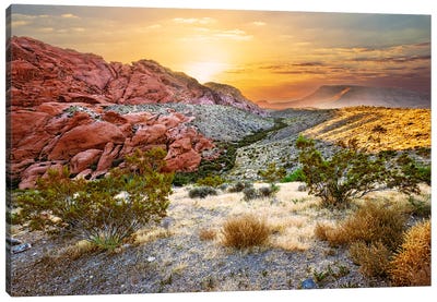 Golden Desert Sunrise Canvas Art Print - Desert Landscape Photography