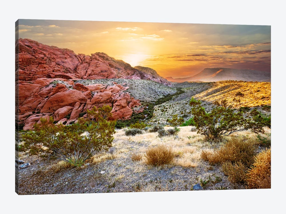 Golden Desert Sunrise by Susanne Kremer 1-piece Canvas Art Print