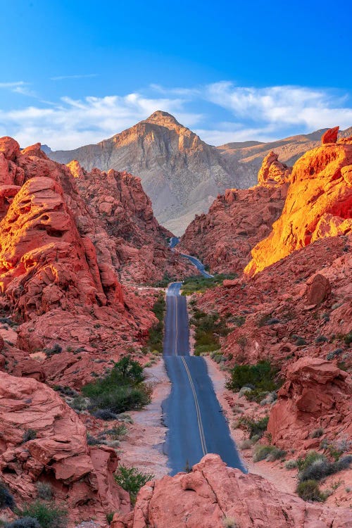 Valley Of Fire Rouge by Susanne Kremer wall art