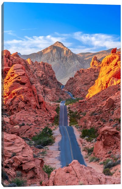 Valley Of Fire Rouge Canvas Art Print