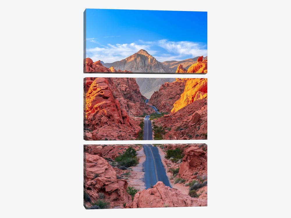 Valley Of Fire Rouge by Susanne Kremer 3-piece Canvas Wall Art