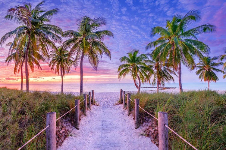 Key West Beauty Panoramic