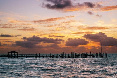 Golden Splendor by Susanne Kremer framed wall art