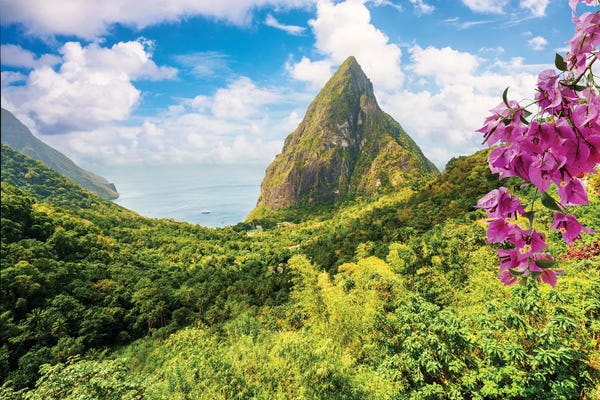 Saint Lucia: Piton And Rainforest by Susanne Kremer