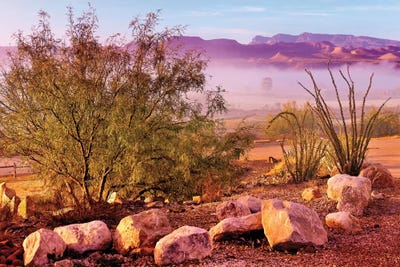 Big Bend Desert  by Susanne Kremer framed wall art